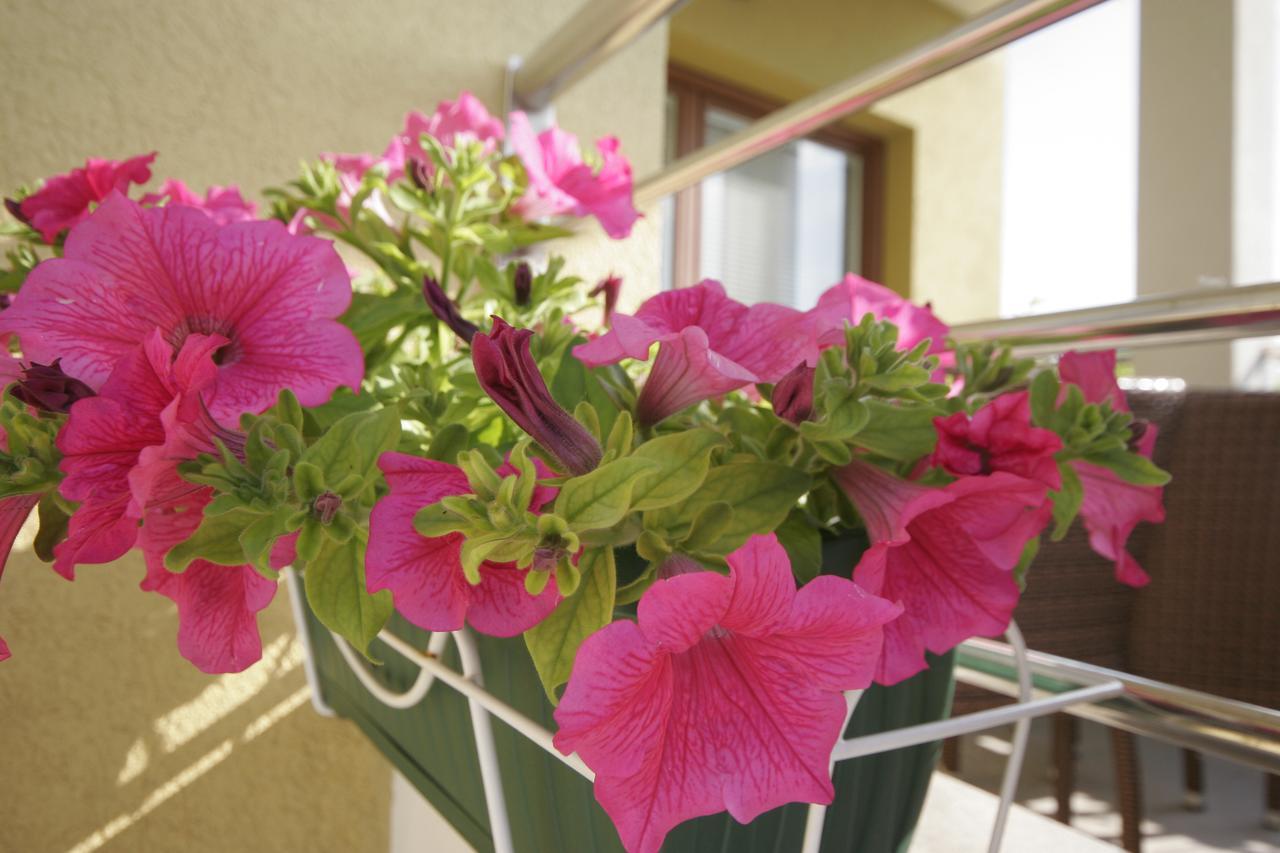 Apartments Salatic Krk Town Dış mekan fotoğraf