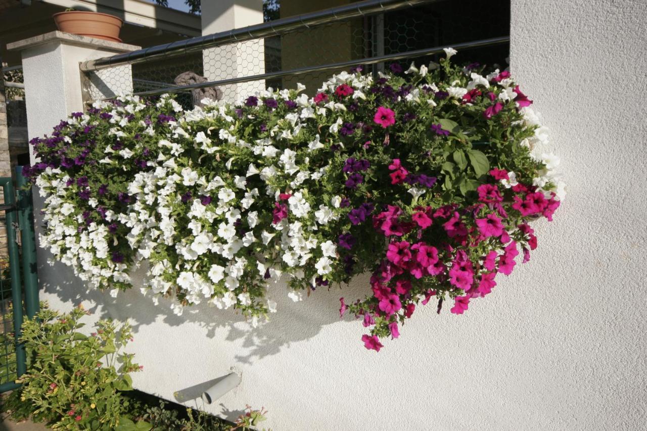 Apartments Salatic Krk Town Dış mekan fotoğraf